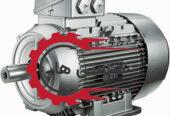 Damavandi-store-sale-of-industrial-electric-motors