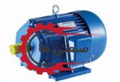 Sale-of-Chinese-three-phase-single-phase-electric-motor